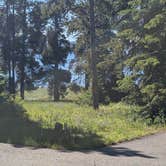 Review photo of Bridge Bay Campground — Yellowstone National Park by David G., July 4, 2026
