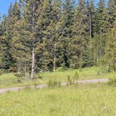 Review photo of Bridge Bay Campground — Yellowstone National Park by David G., July 4, 2026