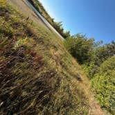 Review photo of Bridge Hideaway by Devin T., September 5, 2026