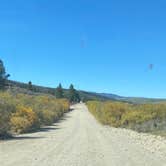 Review photo of Green River Lakes Campground by emily , October 14, 2023