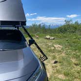 Review photo of Bridger-Teton National Forest by Cody T., July 1, 2024