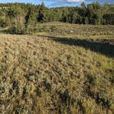 Review photo of Bridger-Teton National Forest by Chris N., July 8, 2024