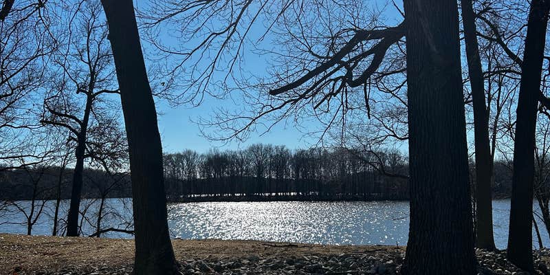 Camper submitted image from Bridgeview park