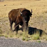 Review photo of Bridger Bay - Antelope Island State Park by Steve B., October 25, 2024