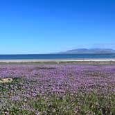 Review photo of Bridger Bay Campground — Antelope Island State Park by Karen B., April 14, 2024