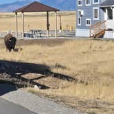 Review photo of Bridger Bay Campground — Antelope Island State Park by Annette S., September 7, 2026