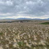 Review photo of Bridger Bay Campground — Antelope Island State Park by Chelsea B., April 13, 2026