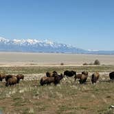 Review photo of Bridger Bay Campground — Antelope Island State Park by @57overlander C., April 20, 2025