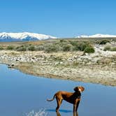 Review photo of Bridger Bay Campground — Antelope Island State Park by @57overlander C., April 20, 2025