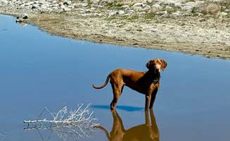 @57overlander C.'s photo of camping with pets at Bridger Bay Campground — Antelope Island State Park near Magna, UT