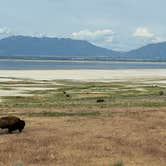 Review photo of Bridger Bay Campground — Antelope Island State Park by Laura H., May 30, 2025