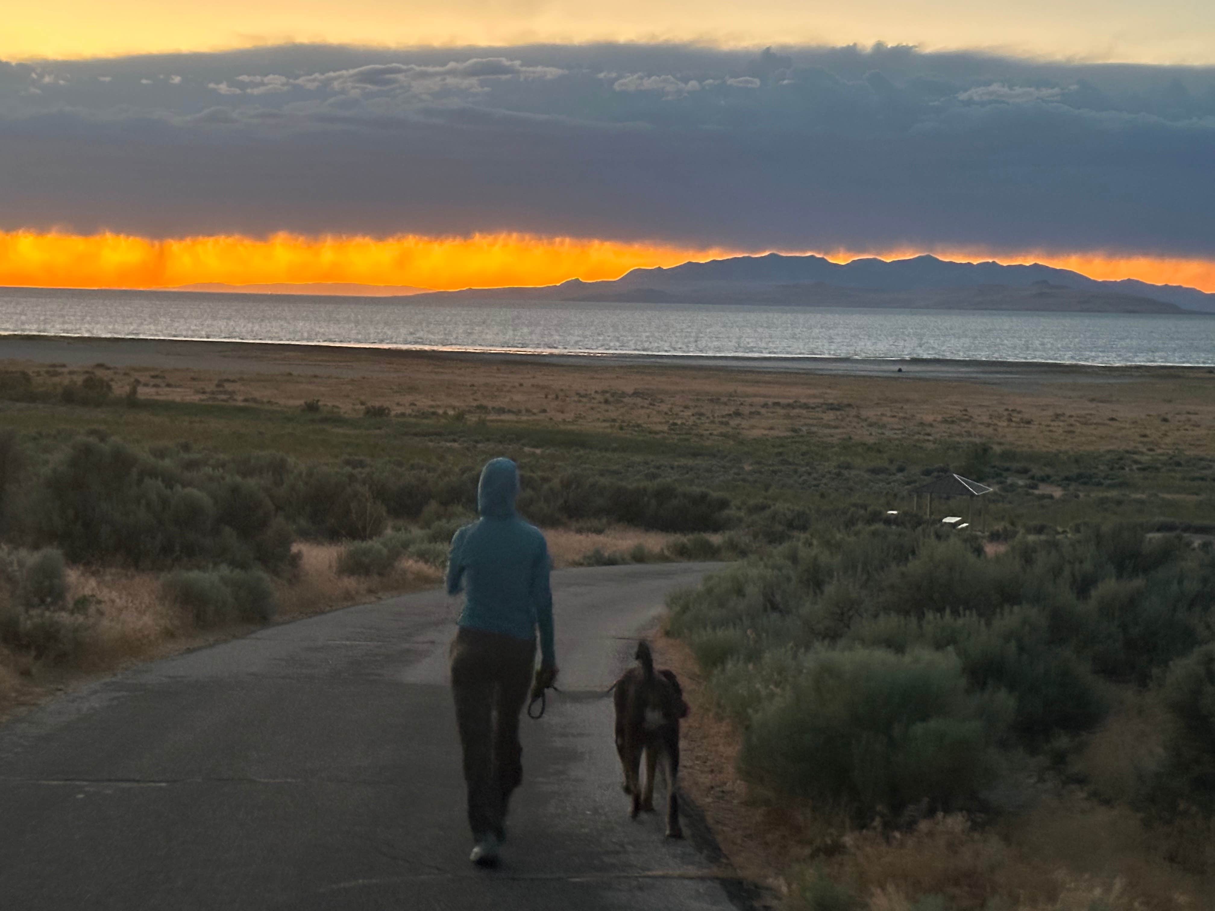 Erik B.'s photo of camping with pets at Bridger Bay Campground — Antelope Island State Park near Layton, UT