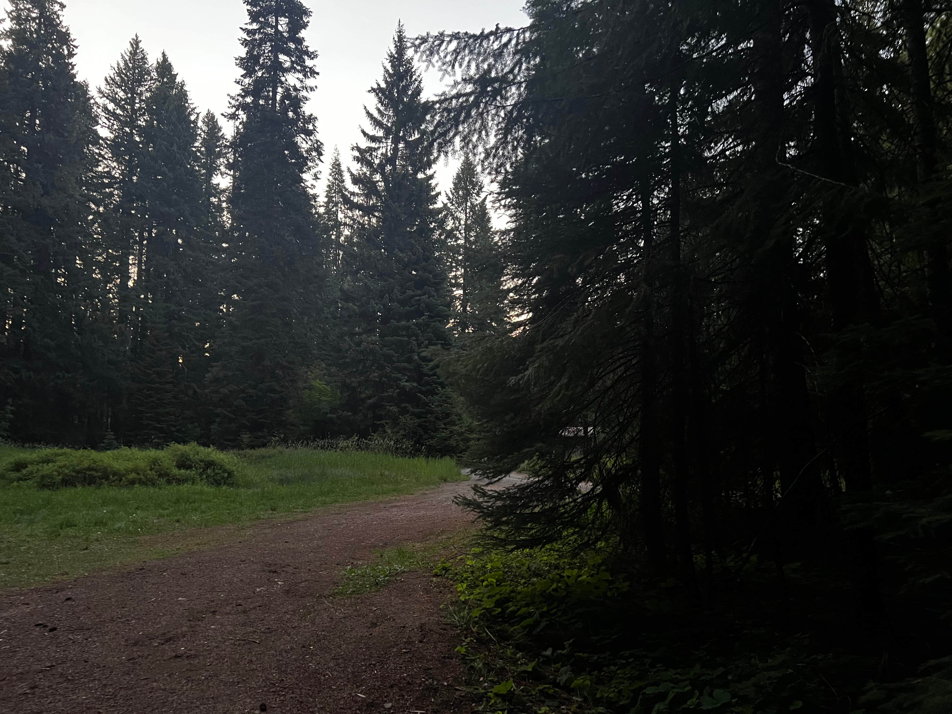 Camper-submitted photo at Briggs Dispersed Camp near Diamond Lake, OR