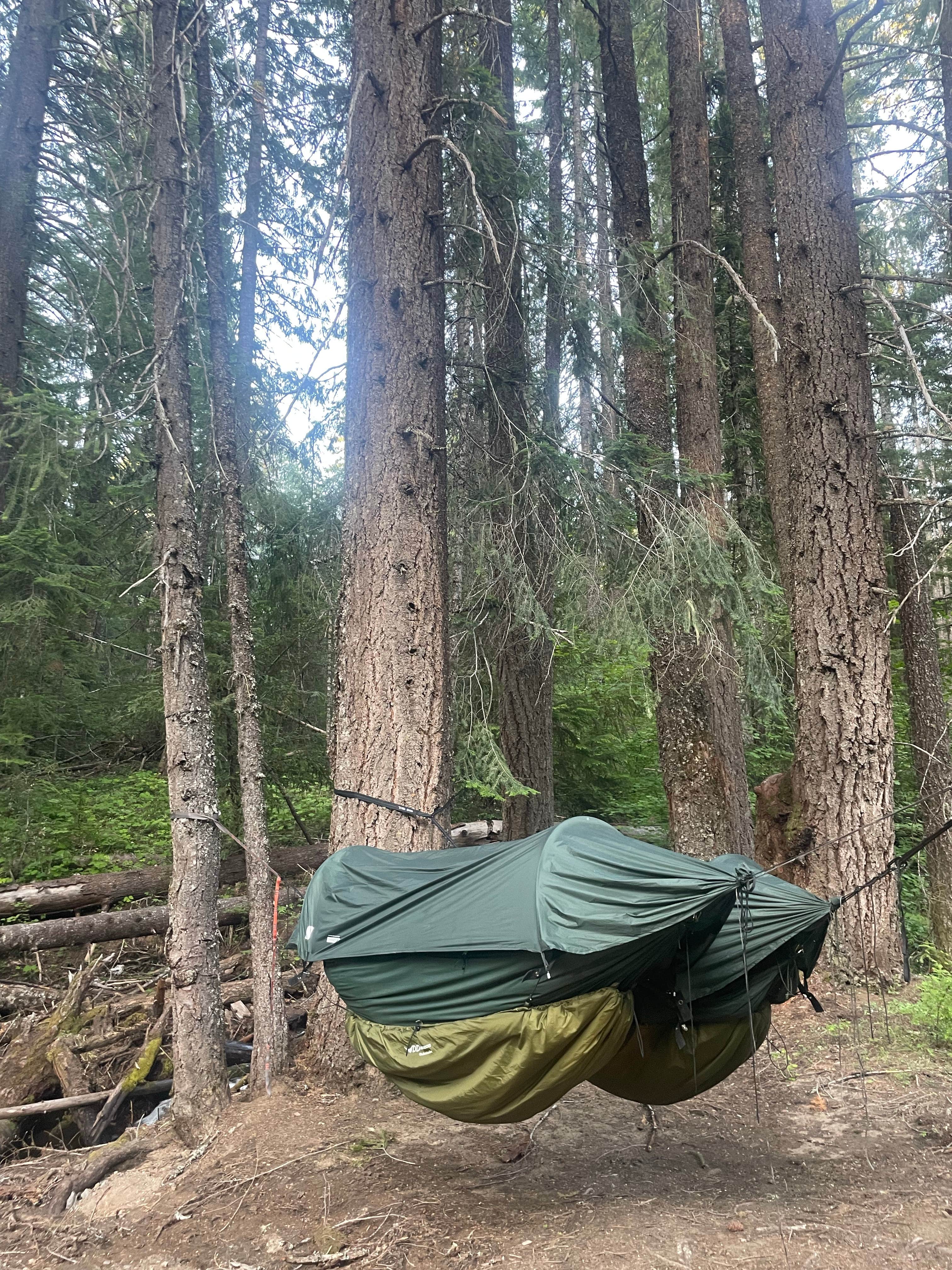 Camper submitted image from Briggs Dispersed Camp - 2