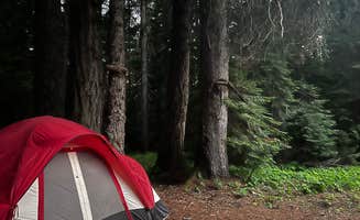 Karson M.'s photo at Briggs Dispersed Camp near Umpqua National Forest