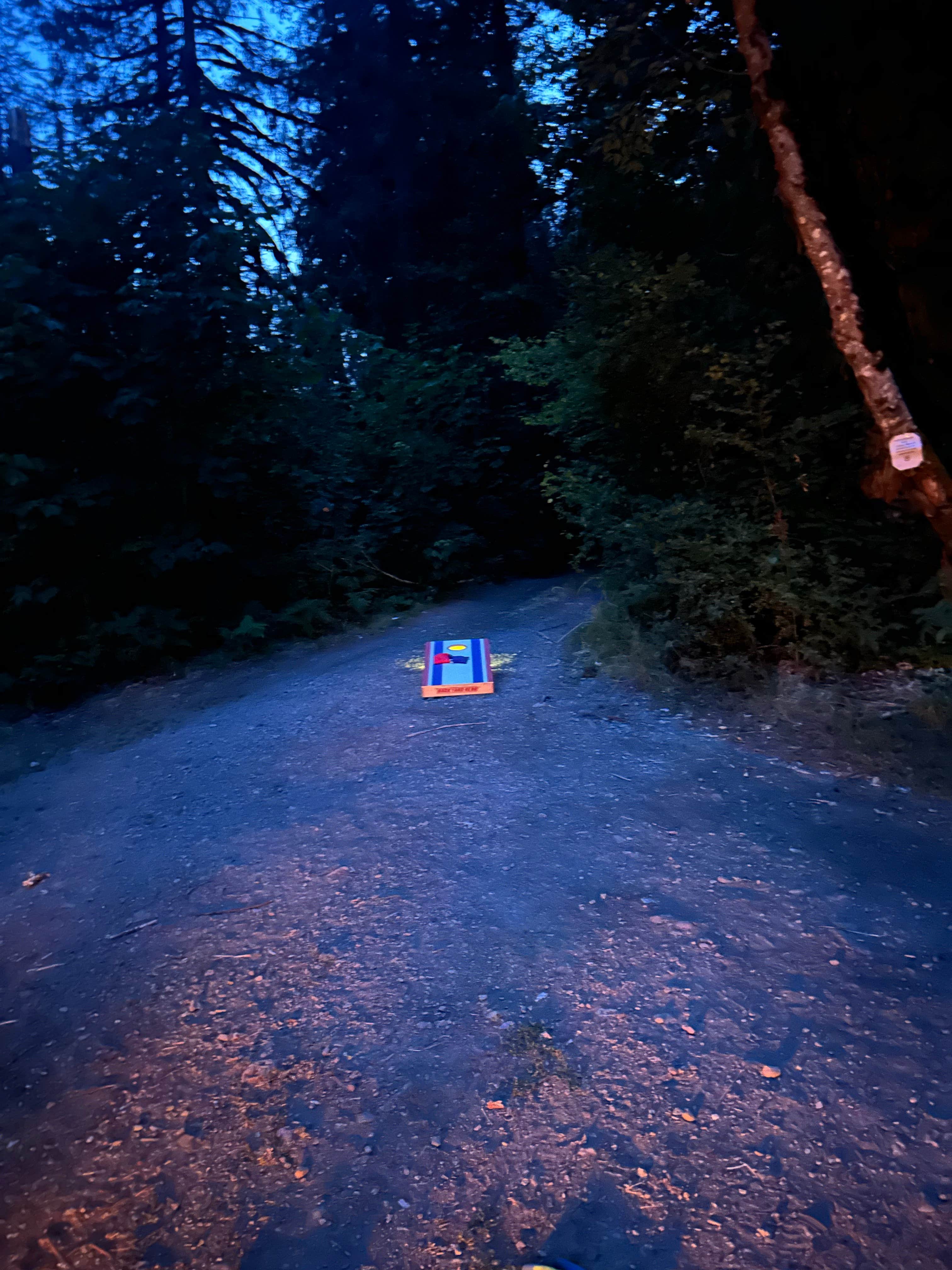 Camper-submitted photo at Britenbush River Dispersed near Jefferson, OR