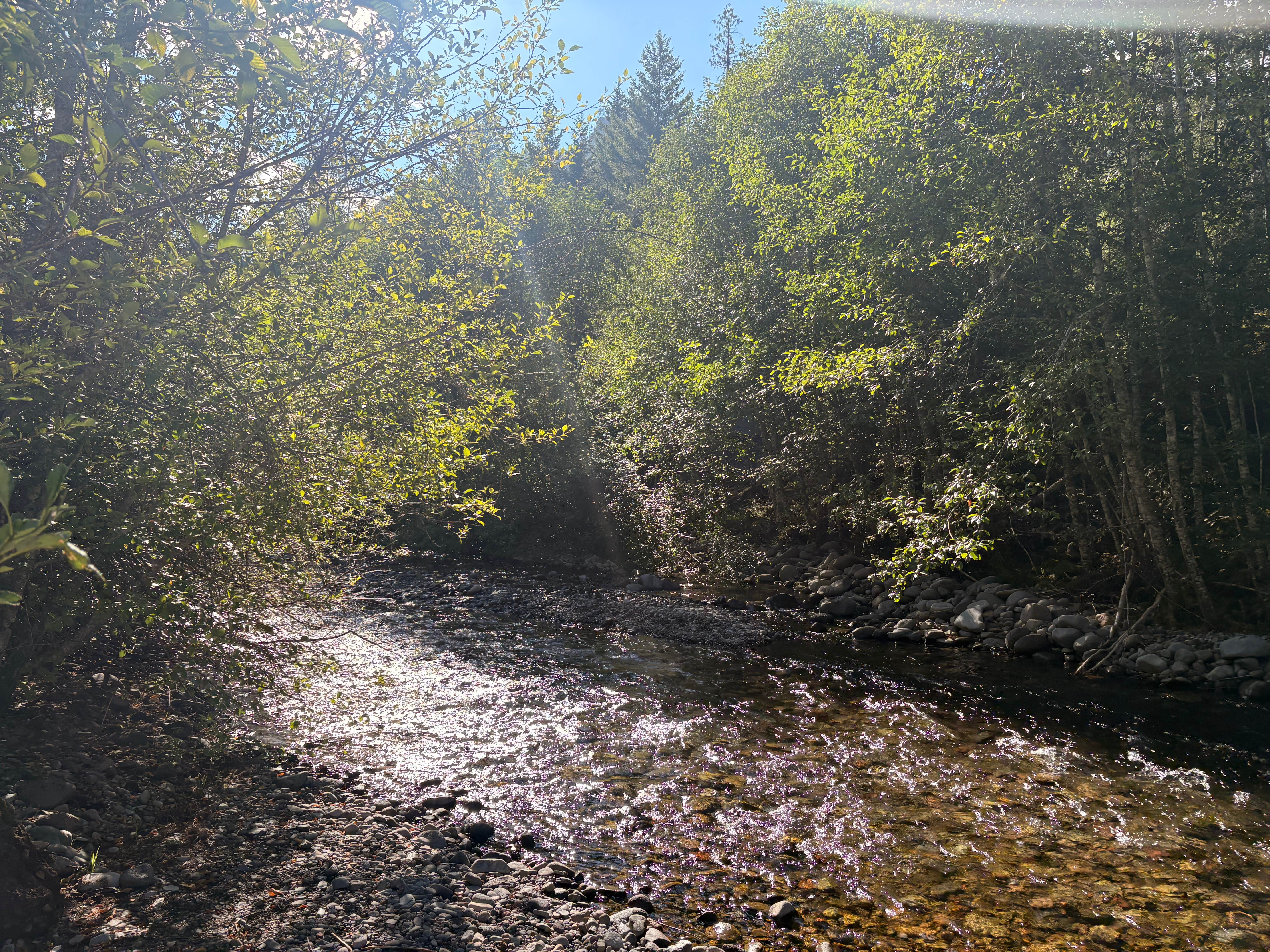 Camper-submitted photo at Britenbush River Dispersed near Mehama, OR