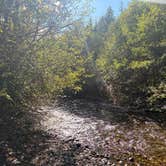 Review photo of Britenbush River Dispersed by Bree G., July 27, 2026