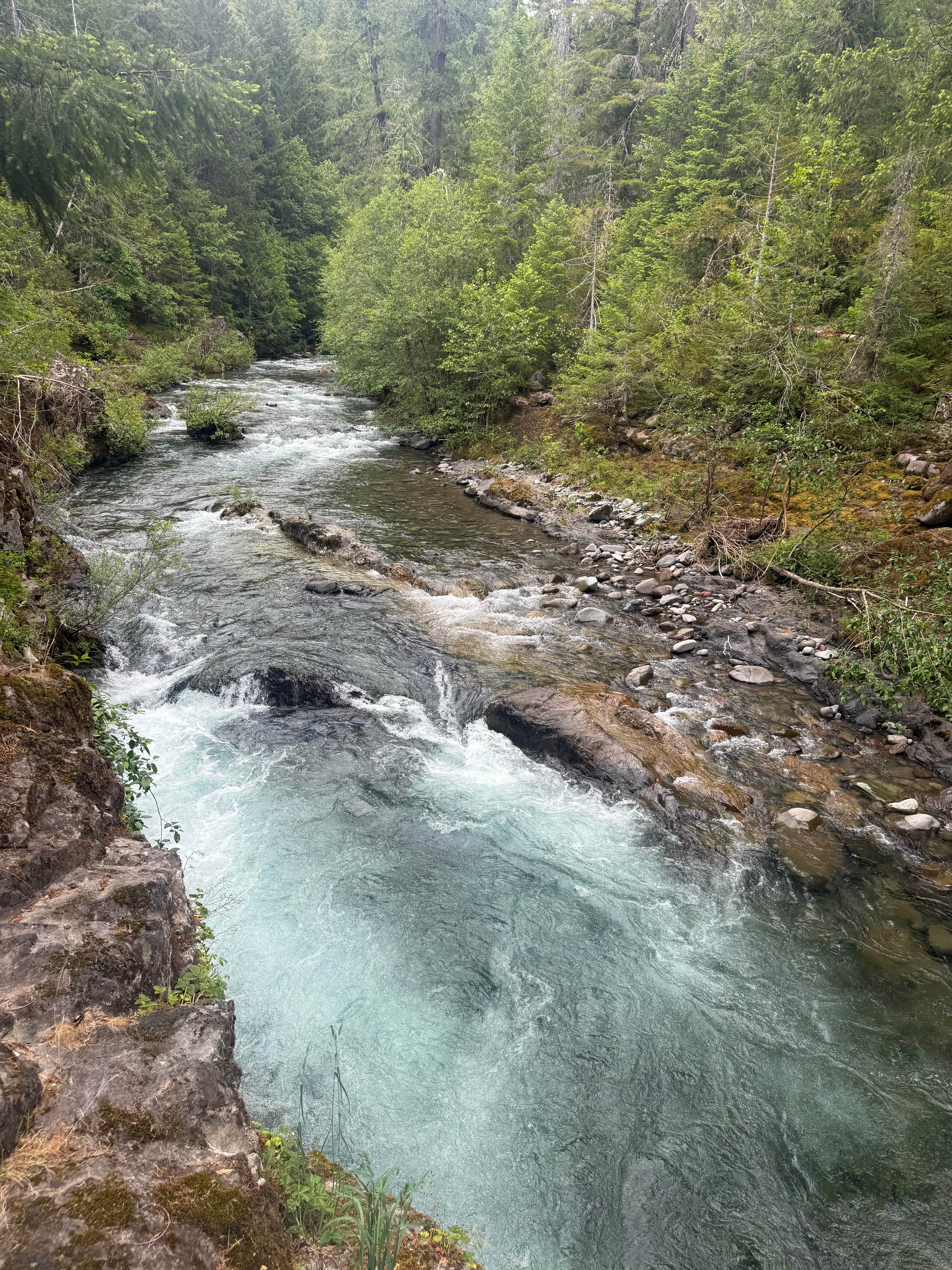 Camper-submitted photo at Britenbush River Dispersed near Molalla, OR