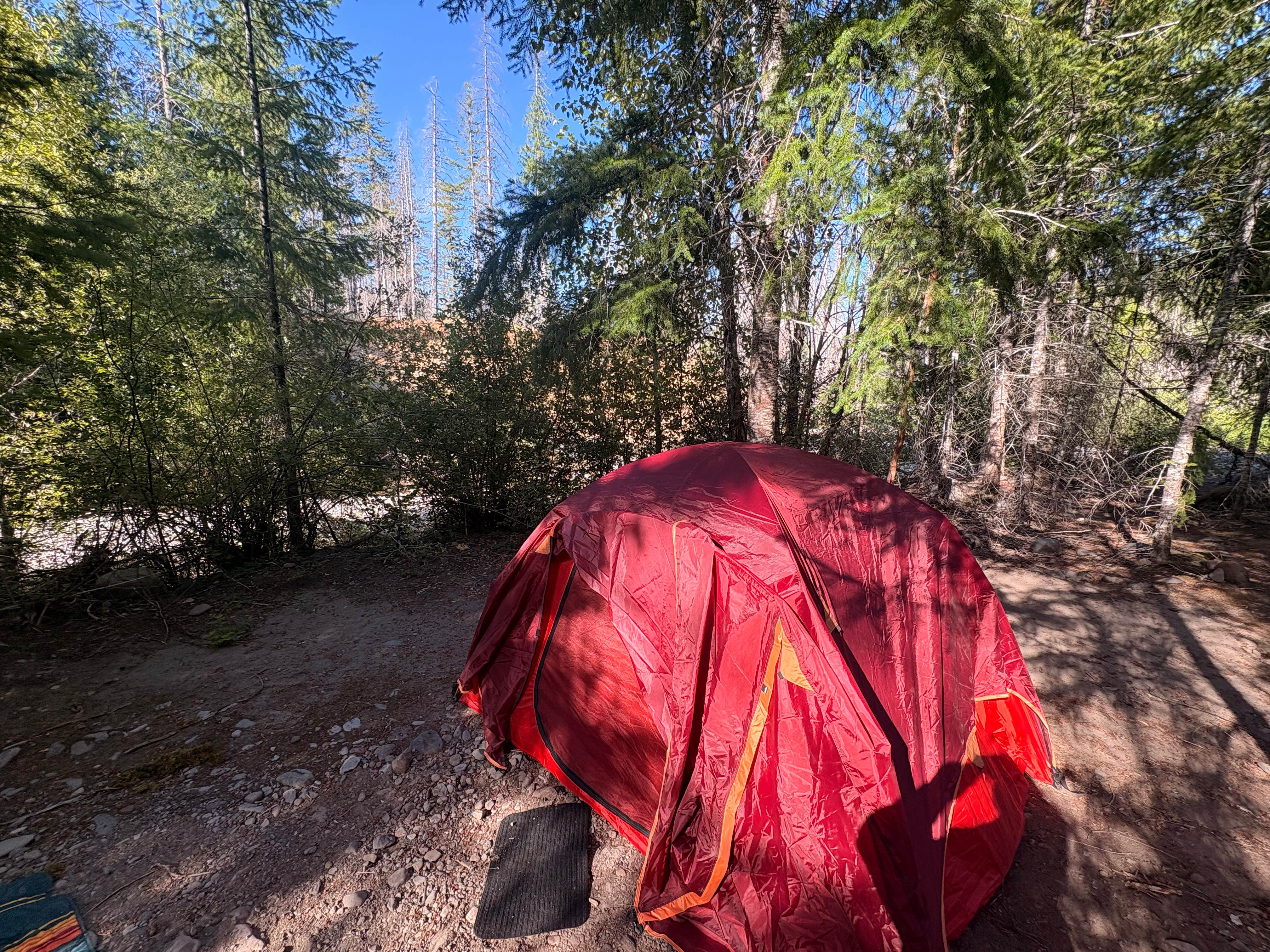Bree G.'s photo of a dispersed camping area at Britenbush River Dispersed near Mehama, OR
