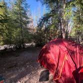 Review photo of Britenbush River Dispersed by Bree G., July 27, 2026