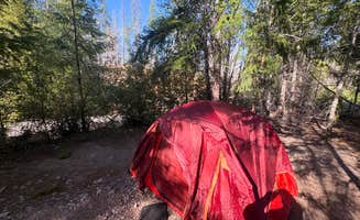 Bree G.'s photo of tent camping at Britenbush River Dispersed near Gervais, OR