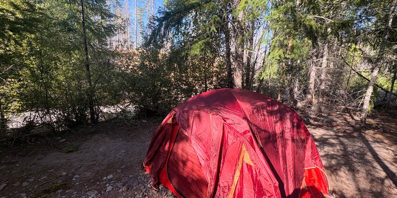 Camper submitted image from Britenbush River Dispersed