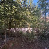 Review photo of Britenbush River Dispersed by Bree G., July 27, 2026