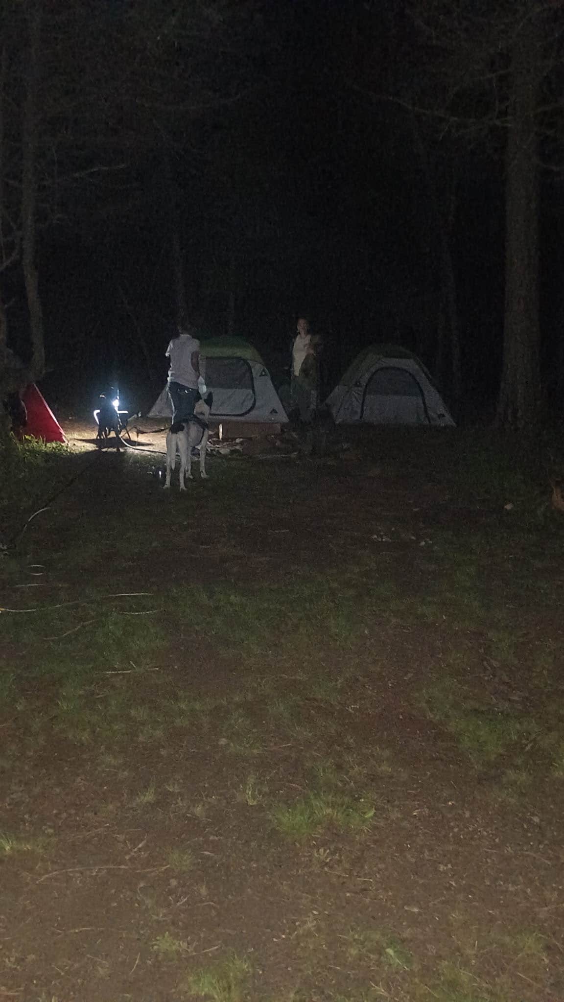 Camper-submitted photo at Broken Bow Dispersed off Rd 51220 near Broken Bow, OK