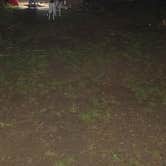 Review photo of Broken Bow Dispersed off Rd 51220 by Holly B., April 4, 2026