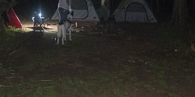 Camper submitted image from Broken Bow Dispersed off Rd 51220