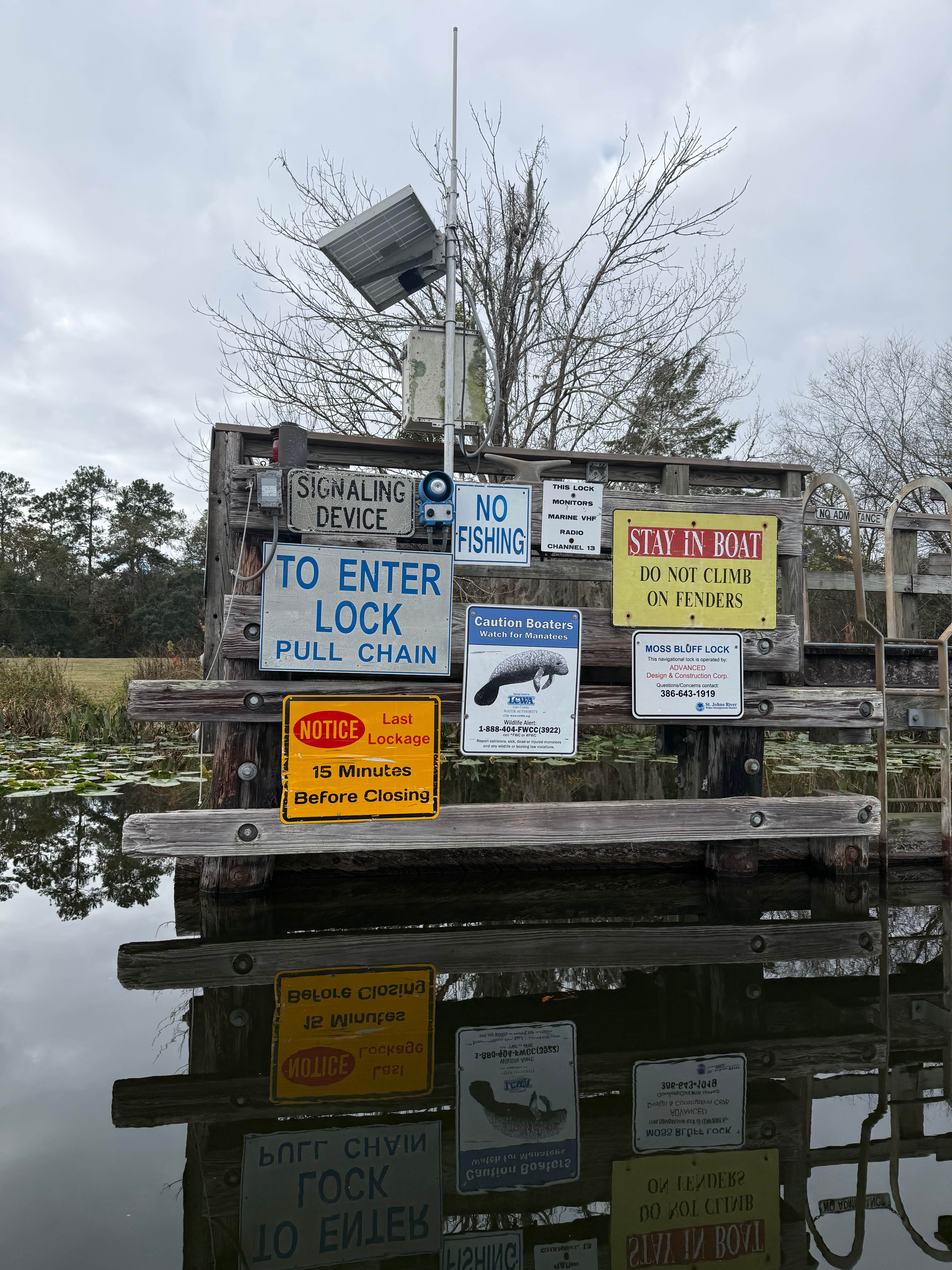 Camper submitted image from BROKEN SPOKE RANCH - 5