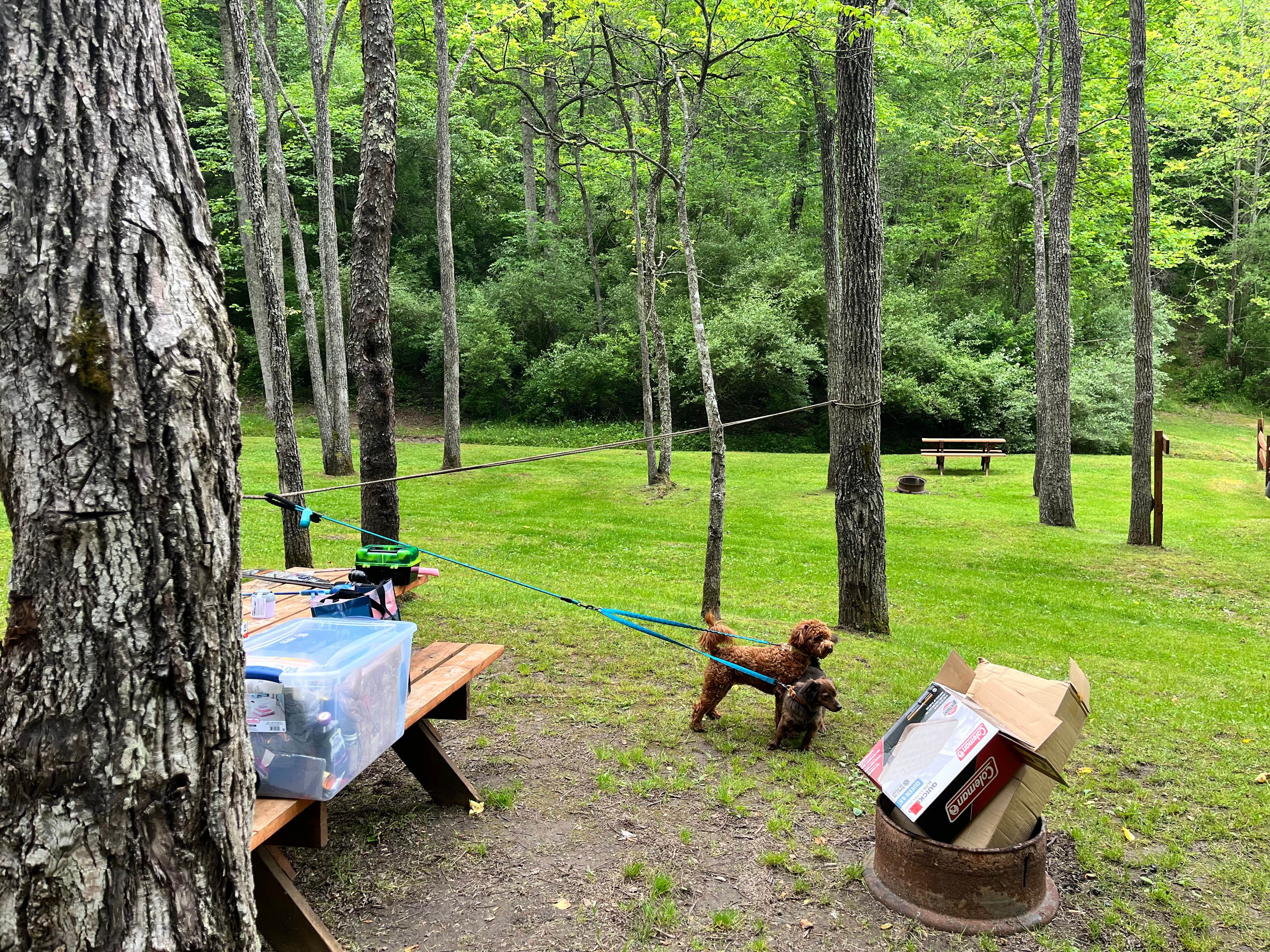 Camper-submitted photo at Broken Wheel Campground near Walkersville, WV
