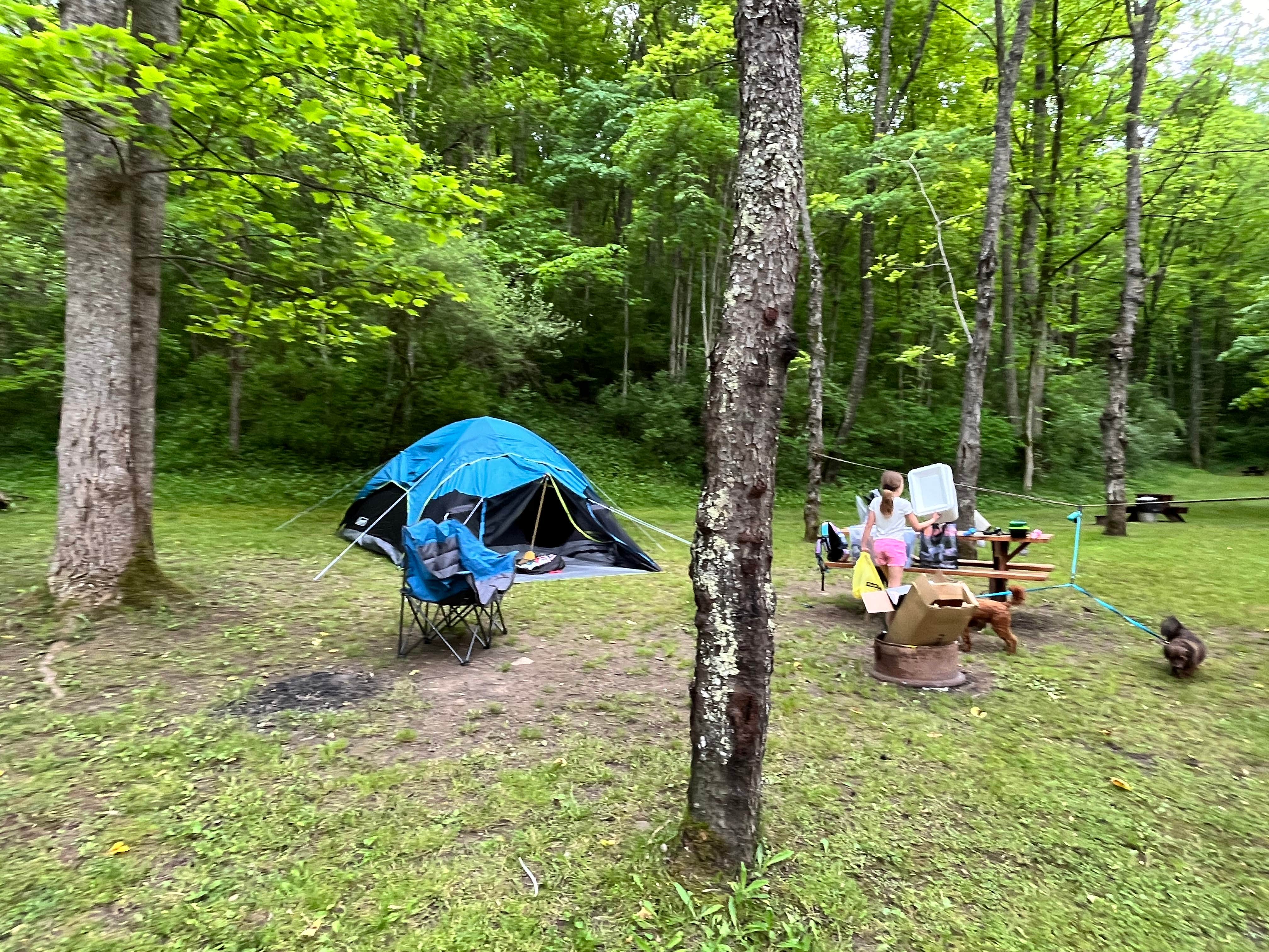 Camper-submitted photo at Broken Wheel Campground near Walkersville, WV