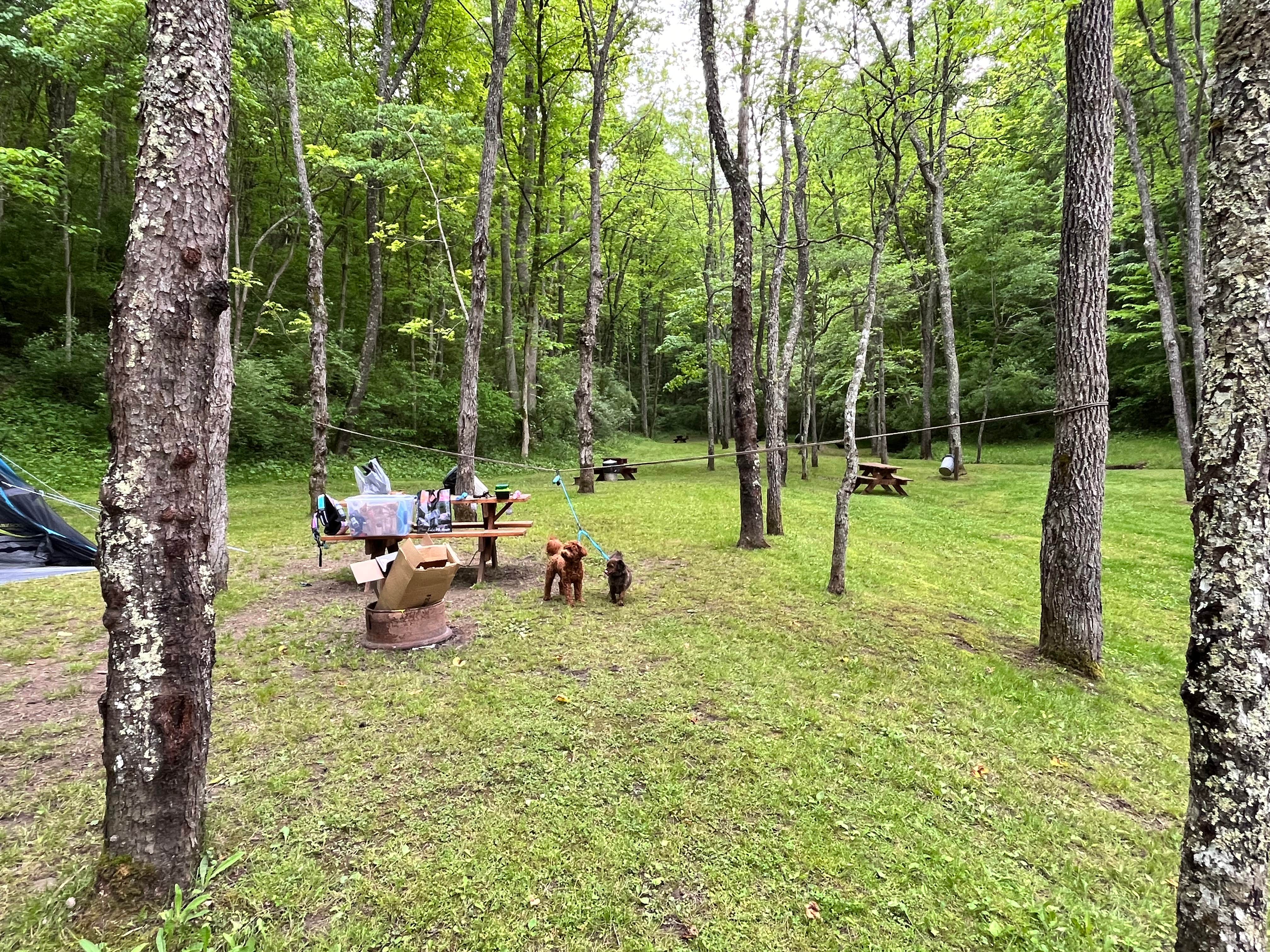 Camper-submitted photo at Broken Wheel Campground near Walkersville, WV