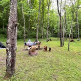 Review photo of Broken Wheel Campground by keri S., May 15, 2024