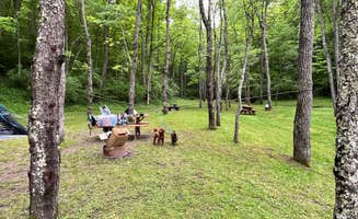 keri S.'s photo at Broken Wheel Campground near French Creek, WV