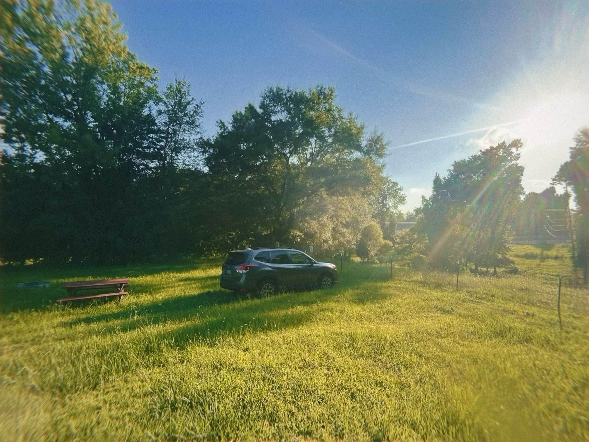 Camper submitted image from Brookhaven Mill Farm - 5