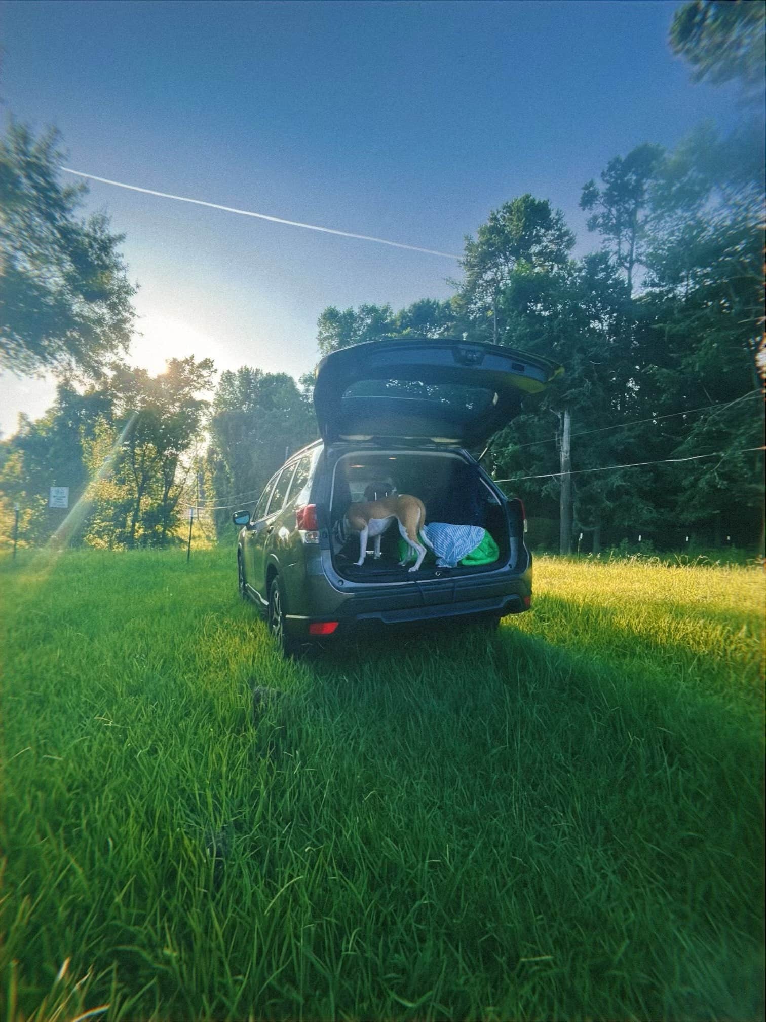 Ari A.'s photo of camping with pets at Brookhaven Mill Farm near Whitsett, NC