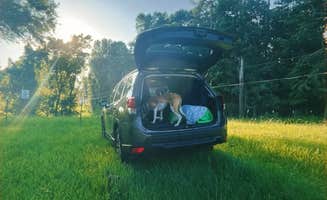 Ari A.'s photo of camping with pets at Brookhaven Mill Farm near High Point, NC