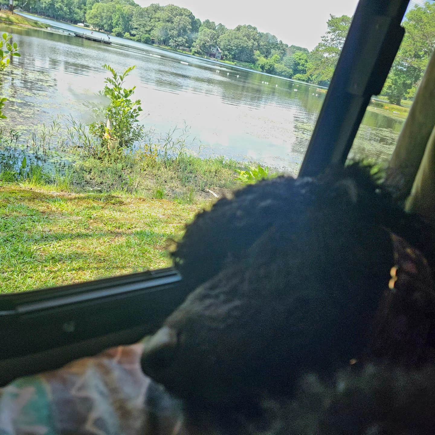 Camper submitted image from Brooks Lake Campground - 3