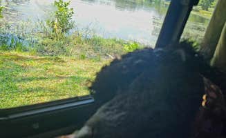 Ali P.'s photo of camping with pets at Brooks Lake Campground near Duluth, GA