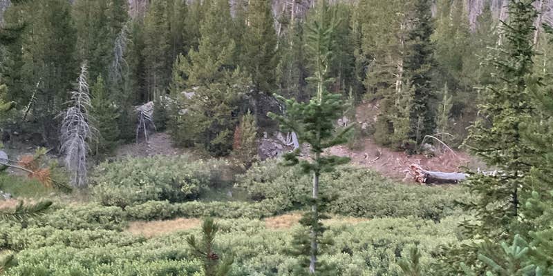 Camper submitted image from Brooks Lake Southeast Camping