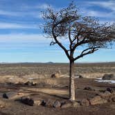 Review photo of Brothers Oasis Rest Area by Greg B., February 13, 2025