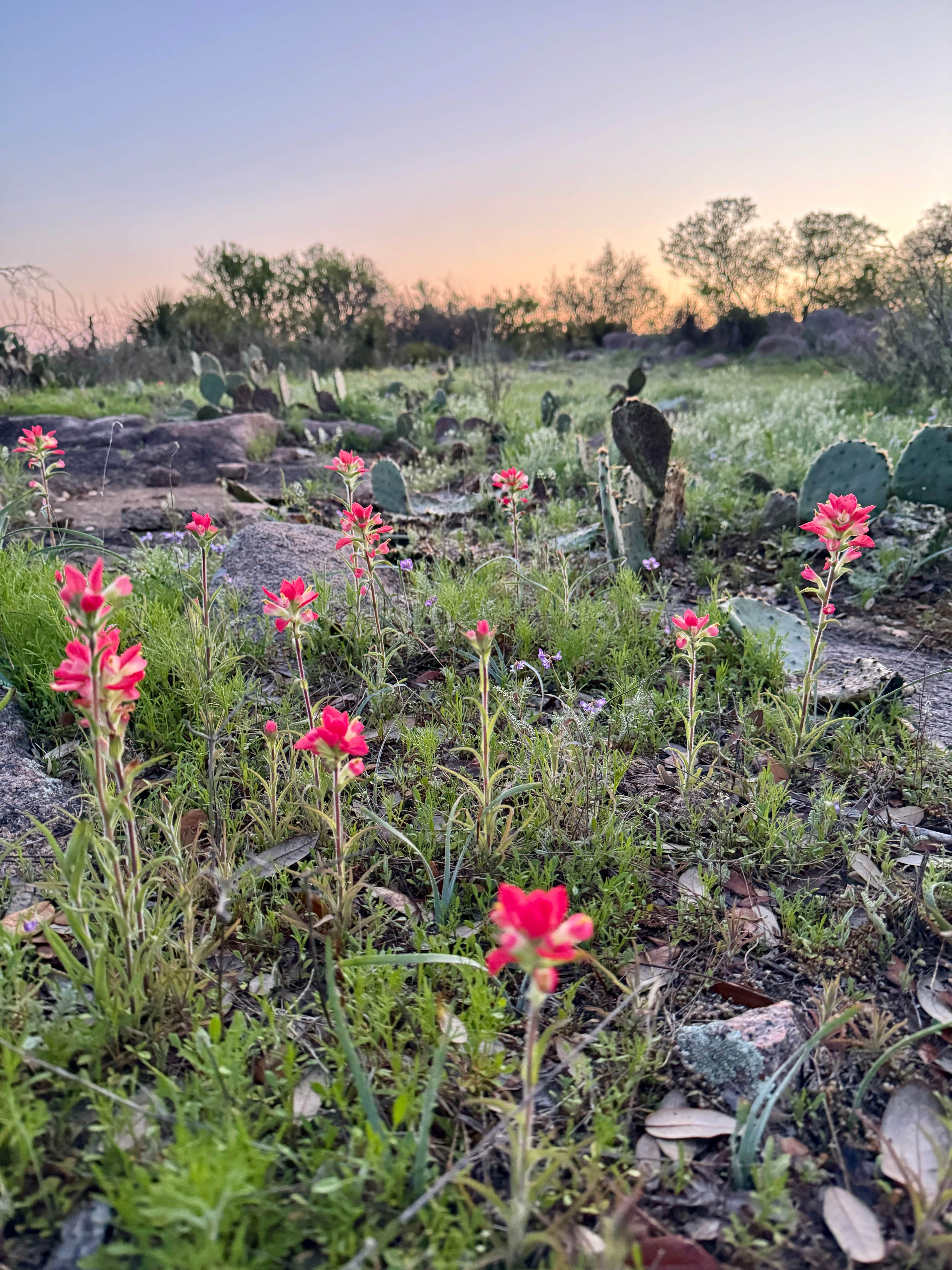 Camper-submitted photo at Brown Chicken Brown Cow Ranch near Llano, TX