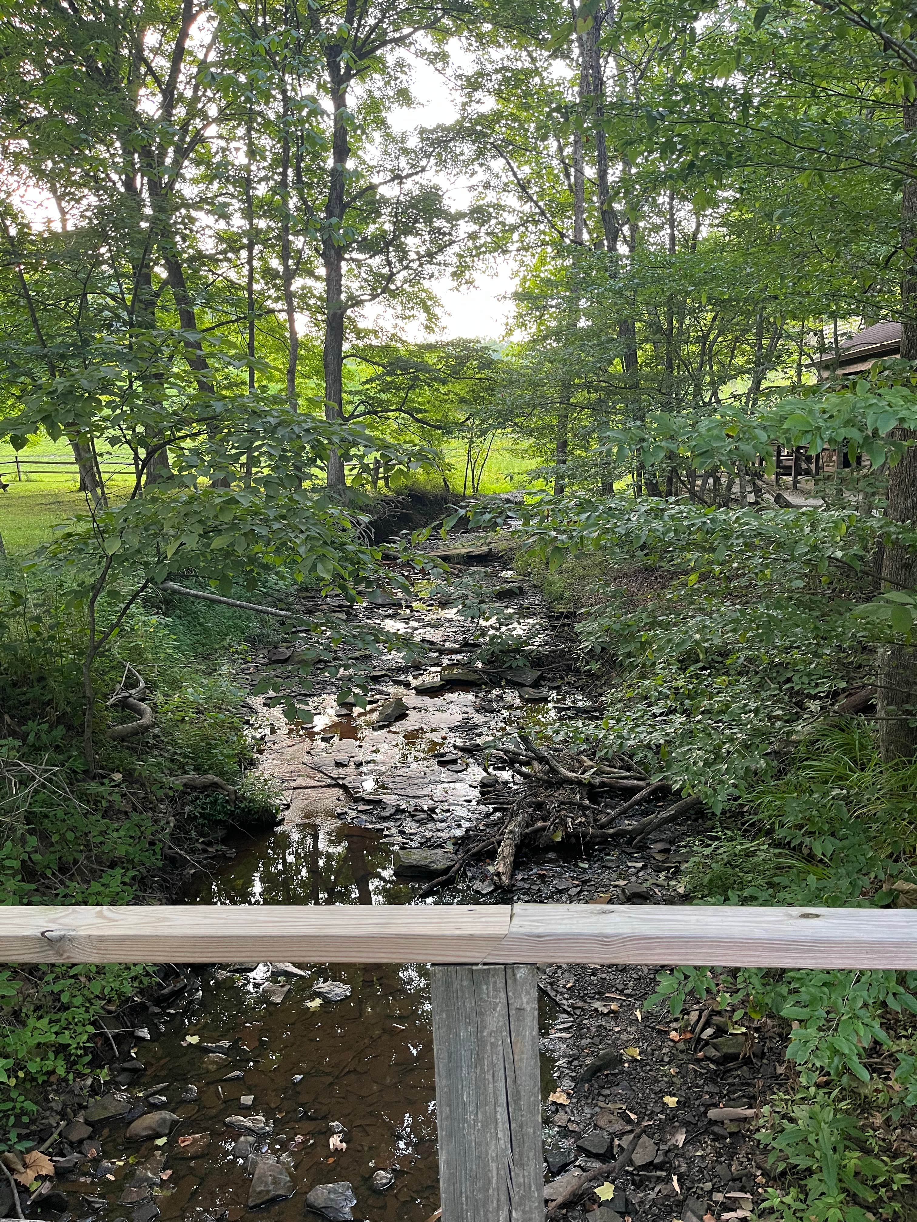 Camper-submitted photo at Brown County-Nashville KOA near Trafalgar, IN