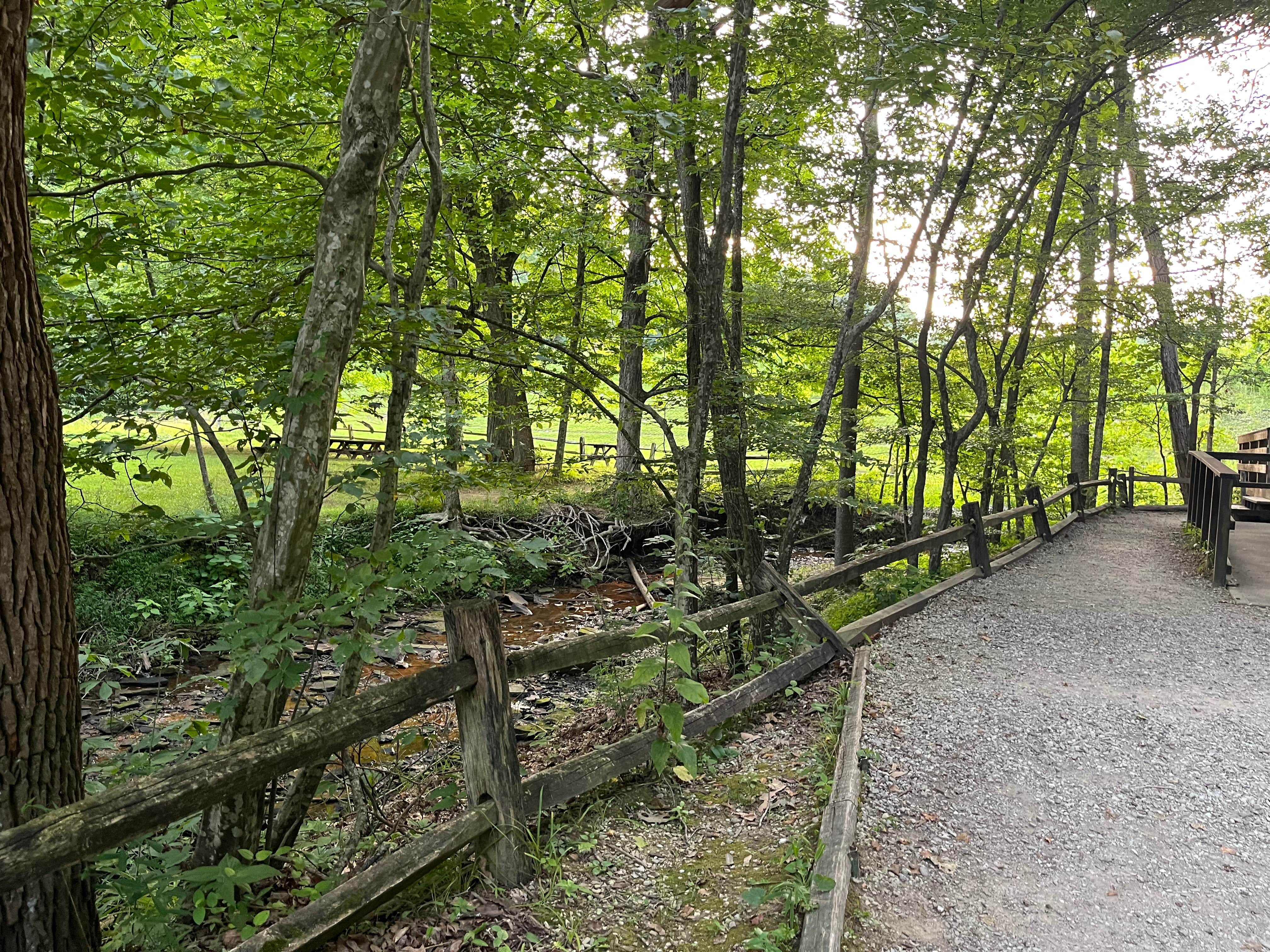 Camper-submitted photo at Brown County-Nashville KOA near Trafalgar, IN