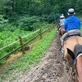 Review photo of Taylor Ridge Campground — Brown County State Park by Scott B., February 11, 2024