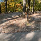 Review photo of Taylor Ridge Campground — Brown County State Park by Wendy T., October 24, 2023