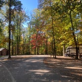 Review photo of Taylor Ridge Campground — Brown County State Park by Wendy T., October 24, 2023